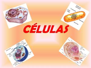 CÉLULAS