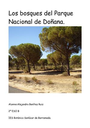 Los bosques del Doñana
