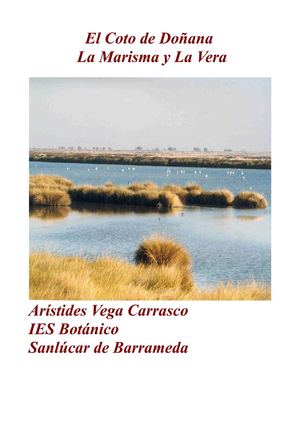 La Marisma y la Vera por Arístides Vega