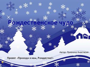 Рождественское чудо