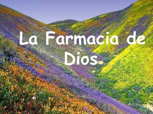 La farmacia de Dios