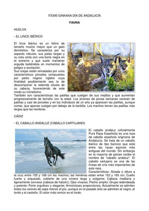 Ginkana  Día de Andalucía