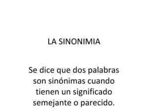sinonimia
