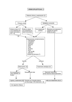 CRISIS EPILEPTICAS