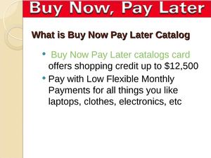 What is Buy Now Pay Later Catalog