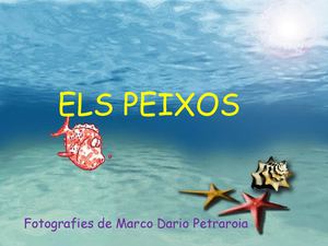Peixos (generalitats)