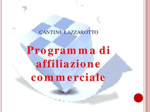 Programma di affiliazione commerciale