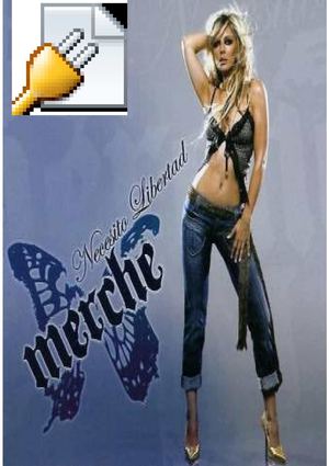 BIOGRAFÍA DE MERCHE