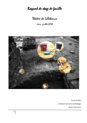 Rapport de stage de fouille (Lillebonne, 2010)