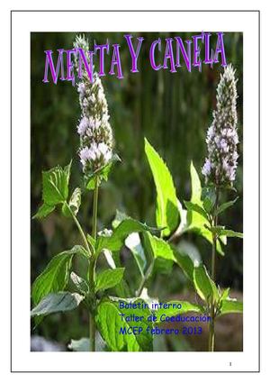 BOLETIN TALLER DE COEDUCACION "MENTA Y CANELA"