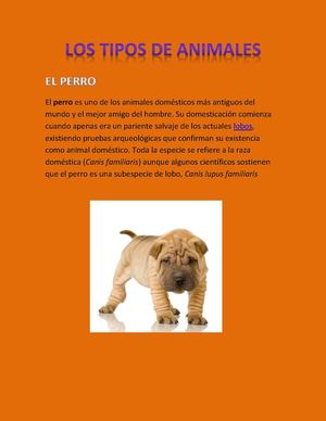 LOS TIPOS DE ANIMALES