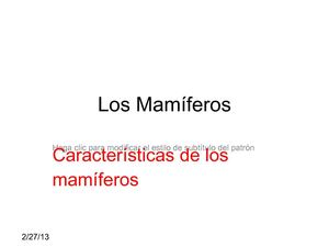 los mamiferos