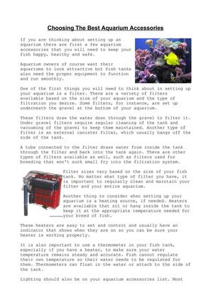 choosing the best aquarium accessories
