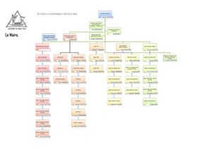 ORGANIGRAMME HIERARCHIQUE ST3