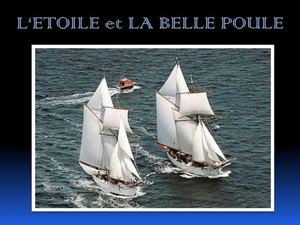 Etoile - Belle Poule