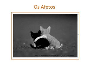 Os afetos