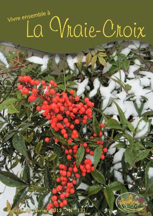 Bulletin de janvier 2013