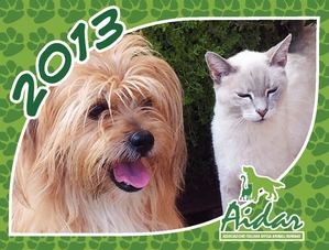 Dona il tuo 5x1001 ad AIDAR un aiuto concreto per la difesa degli animali randagi www.aidar.it 