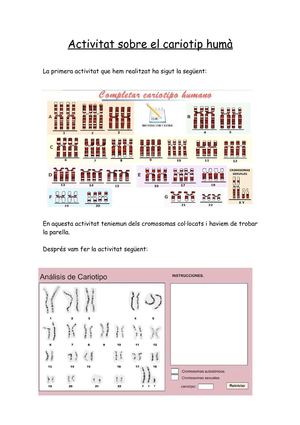 Activitat sobre el cariotip humà