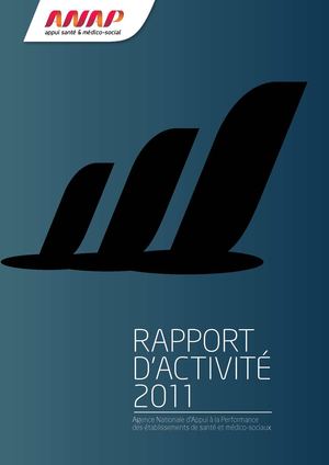 Rapport d'activité 2011