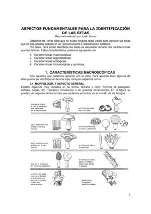 2._identificacion_de_las_setas_2009_con_citas