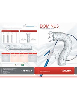 Stent Graft Dominus - BRAILE