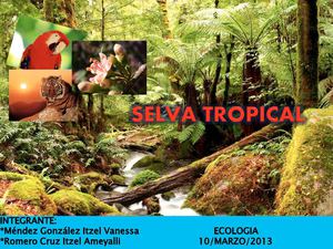 Selva Subtropical.