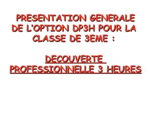 Pour en savoir plus sur l'option DP3H en classe de 3ème.