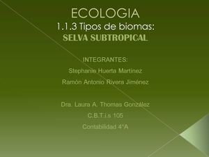 Selva Subtropical