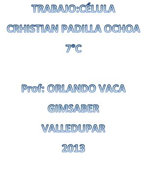 la celula informatica word
