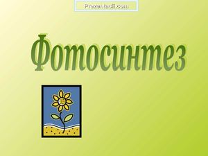 10 класс биология, фотосинетз