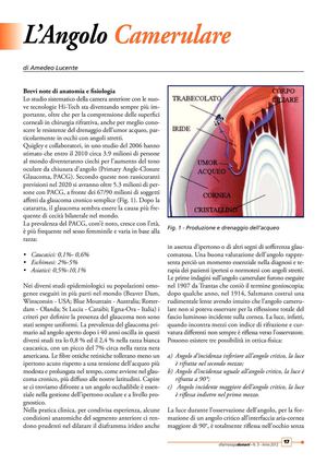 L’Angolo Camerulare di Amedeo Lucente