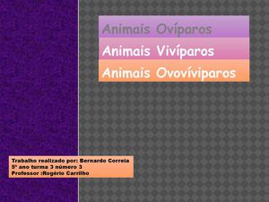 animais oviparos viviparos e ovoviviparos
