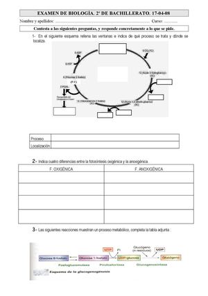 EXAMEN METABOLISMO 2011