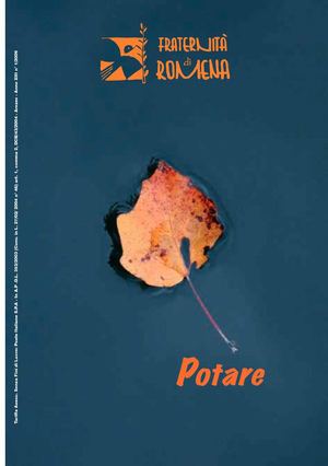 Potare - 01/2009