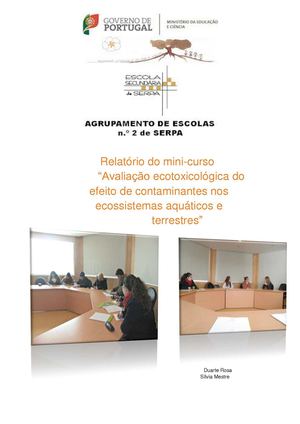 Relatorio 1 final (7) (1)