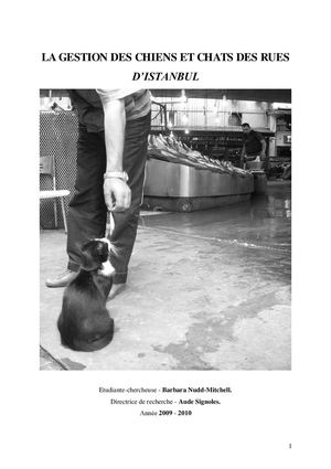 La gestion des chiens et chats des rues d'Istanbul