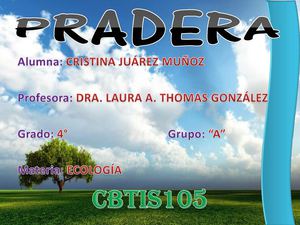 PRADERA