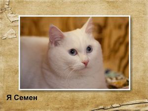Семен