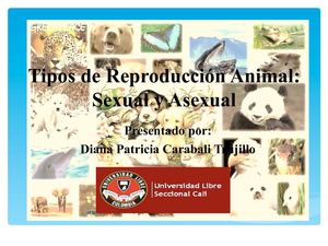 reproducción