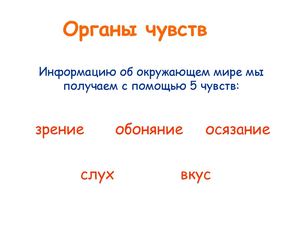 Органы чувств