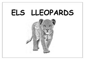 PROJECTE DELS LLEOPARDS 2012-2013