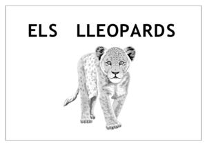 Els lleopards