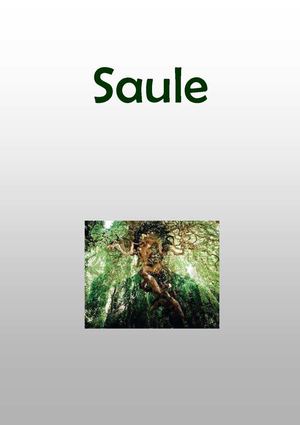 Saule et les Pleureurs