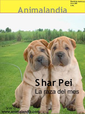 11 de marzo del 2013nuevo de animalandia [Autoguardado]