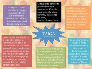 TAIGA~
