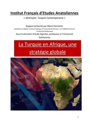 La Turquie en Afrique, une stratégie globale