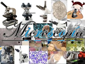 microscopía