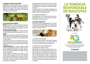 La Tenencia Responsable De Macotas