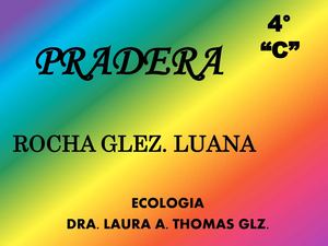 Pradera